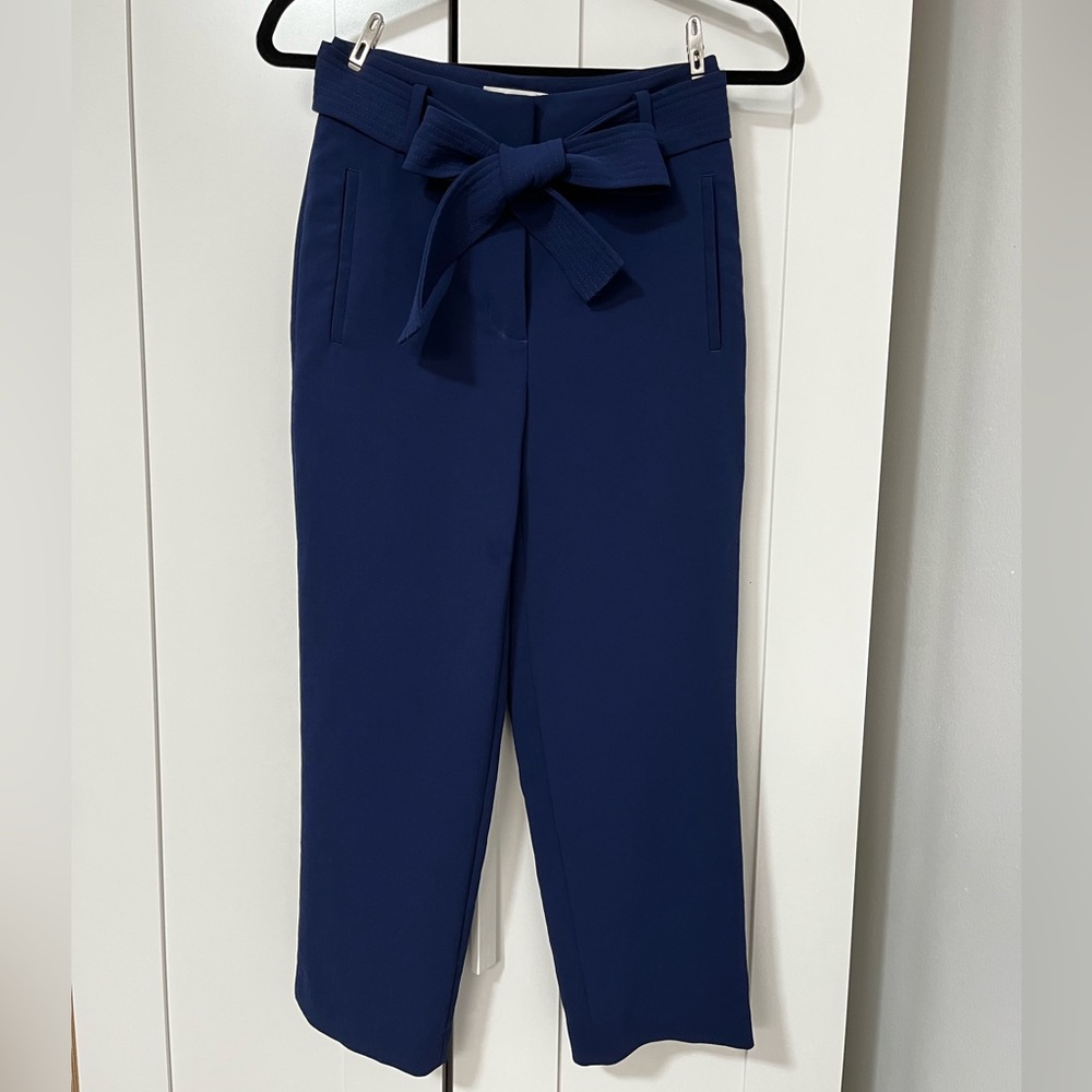 Aritzia Wilfred Tie Front Pants